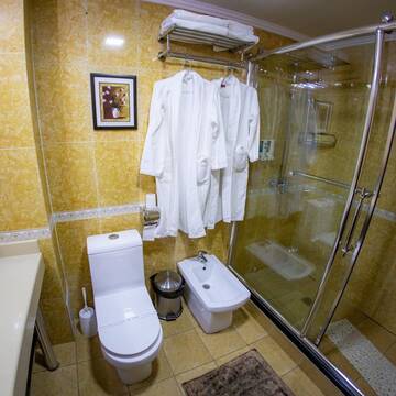 Люкс с 2 отдельными кроватями в Отеле Гостиница Метелица